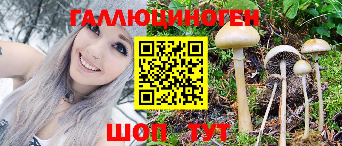 Псилоцибиновые грибы Cubensis Ишим