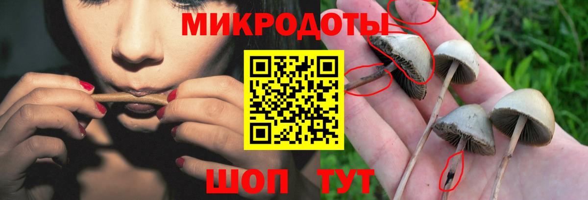 Ишим  Псилоцибиновые грибы Magic Shrooms  наркошоп  Вход с VPN 